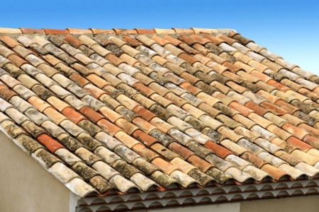 Pourquoi le d&eacute;moussage de toiture &agrave; Marly est-il essentiel ?